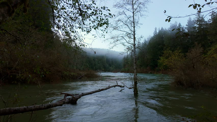 Tranquil River Flowing Through Misty Forest