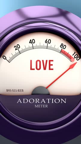 Love and Adoration meter that is hitting a full scale, showing a very high level of love, overload of it, too much of it. Maximum value, off the charts.
