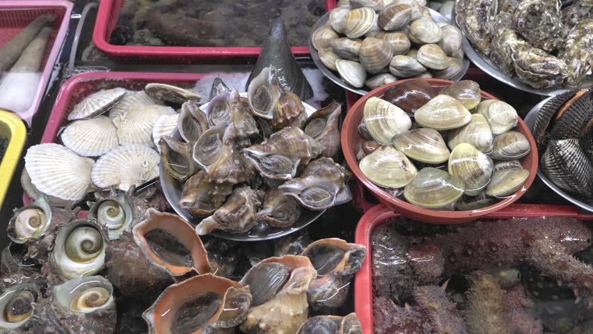 
Huge variety of bivalve molluscs, shells, clams, mussels, snails, sea worms, for sale at the Seafood market, Fish Market of Busan, South Korea. 