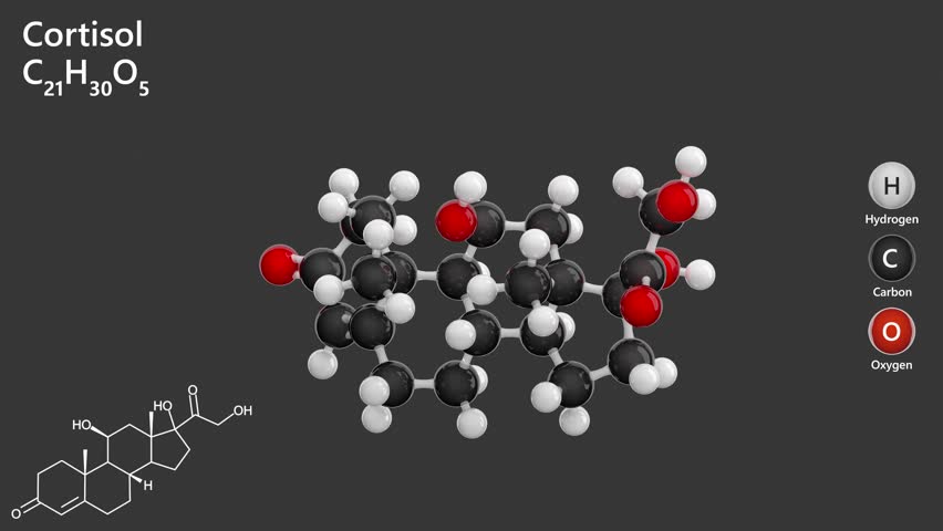 Cortisol. Stress hormone. Animated 3D model of a molecule. Molecular formula: C21H30O5. Chemical model: Ball and stick. Gray background. 3D rendering. Seamless loop.