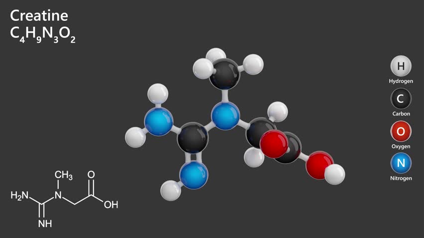 Creatine. Nitrogenous organic acid. Animated 3D model of a molecule. Molecular formula: C4H9N3O2. Chemical model: Ball and stick. Gray background. 3D rendering. Seamless loop.