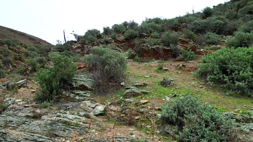 A drone shot of forested hills and rocky caves