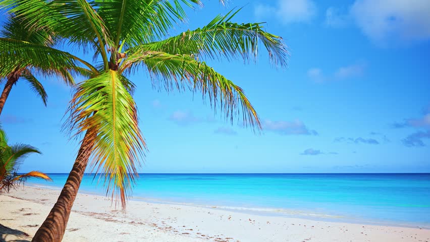 Landscape of amazing beach and transparent sea wave on tropical Hawaiian beach. Caribbean vacation. The most beautiful beaches in the world. Long video without people, place for copying.