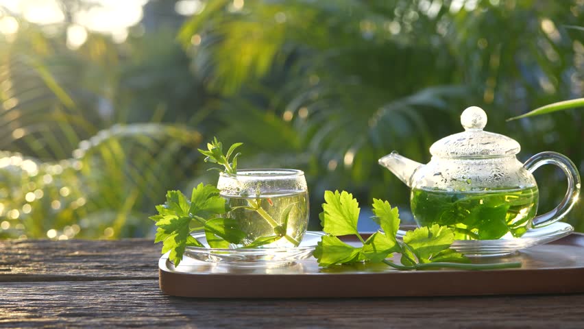 herbs tea, coriander, Lemon balm, Rice Paddy Herb in a glass teapot