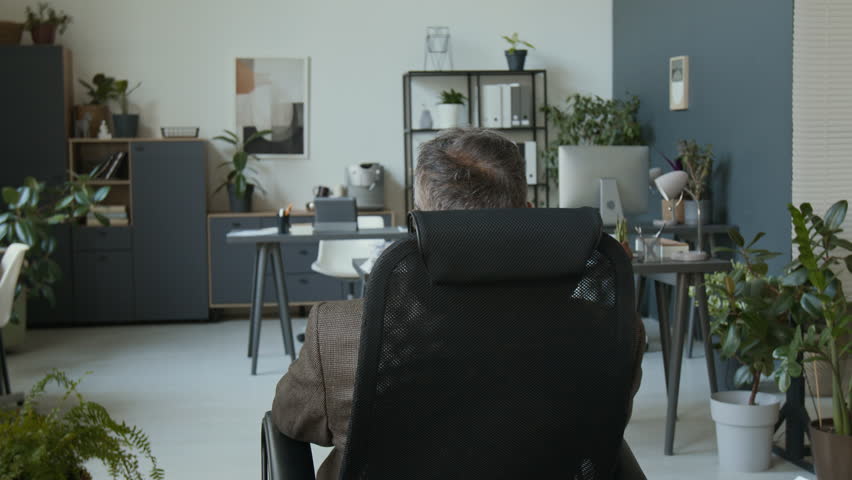 Portrait of businessman sitting on chair, putting on clown wig and nose, turning to camera and posing during workday in office