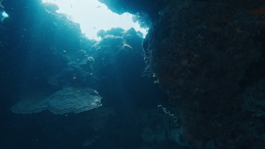 Sunbeams are illuminating the entrance of an underwater cave. Raja Ampat, Indonesia