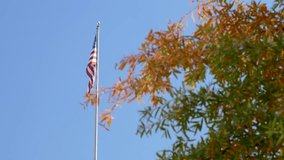 American flag waves in wind with autumn leaves near Washington Monument - Powered by Shutterstock - Get 15% off with code: PIKWIZARD15
