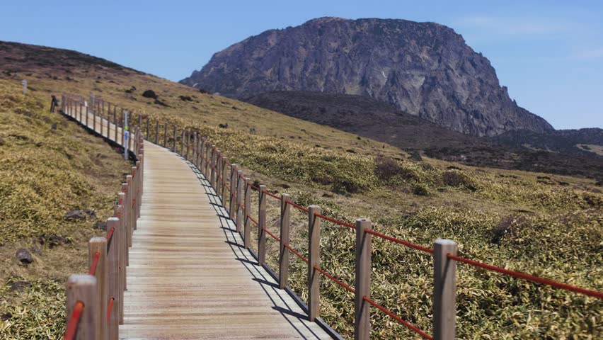 Hallasan National Park, Jeju island, South Korea, spring view of Yeongsil trail with a wooden ladder path stairs, trekking and climbing, stairway to Halla mountain, hiking in Korea, Jeju-do, sunny day