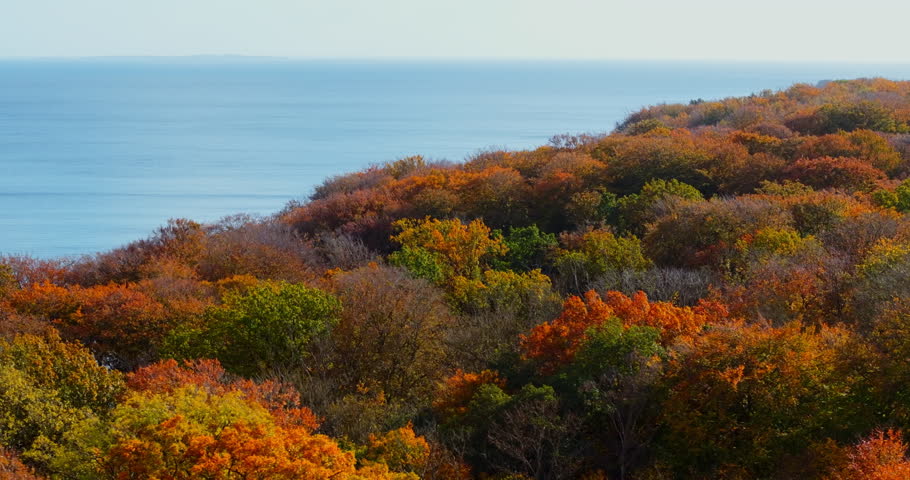 An aerial drone shot captures a vibrant autumn landscape, where rolling hills of trees in rich shades of orange, yellow, and green extend toward a serene body of water