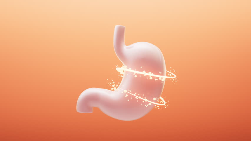 Stomach and nutrient absorption, 3d rendering. Motion graphic.
