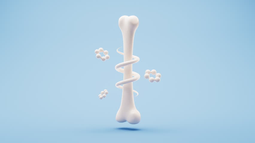 Biological anatomy of the skeleton and bone health, 3d rendering. Motion graphic.