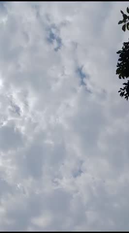 "A breathtaking winter season scene featuring dense,misty clouds, towering trees,rustic homes,and a charming wooden tower,where pigeons roost, exuding tranquility."