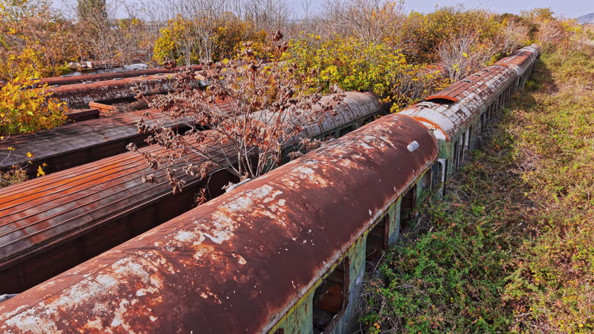 Rusting train cars sit among wild vegetation in Greece, showcasing nature reclaiming man-made structures. The serene landscape highlights the passage of time and neglect.