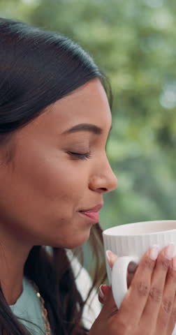 Shutterstock Video