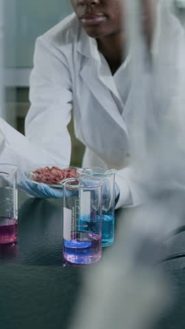 Vertical tilt up shot of female biotechnologist holding petri dish and dripping liquid on piece of cultured meat during lab experiment