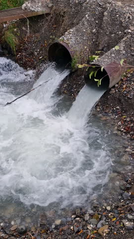 Dirty water flows from the pipes into the river, environmental pollution. Vertical video.