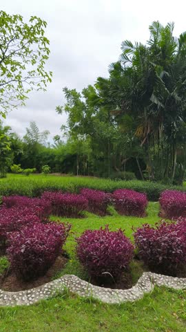 large front yard flower garden