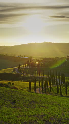 Tuscany landscape with road and cypresses of farmland hill country at sunset. Italy, Europe, timelapse. Vertical video
