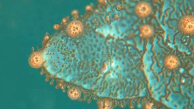 Small microorganism under microscope ultra close up. One alone microbe closeup. Realistic molecular cell and bacterium. Macro view. Bacterial immune. Dirty hand. Simplest organism. Little bacteria. - Powered by Shutterstock - Get 15% off with code: PIKWIZARD15