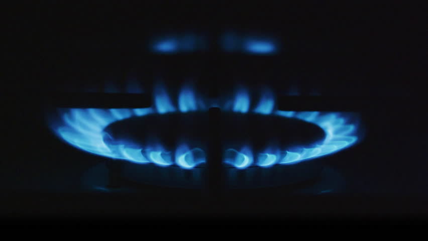 Close-up of blue gas flames on a stove burner
