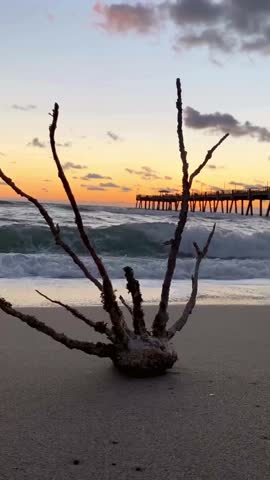 Capturing the serene scene of a calm beach during sunset. Perfect landscape background and summer holiday concept