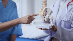 Doctor explaining spinal anatomy to a patient using an anatomical model in a healthcare setting - Powered by Shutterstock - Get 15% off with code: PIKWIZARD15