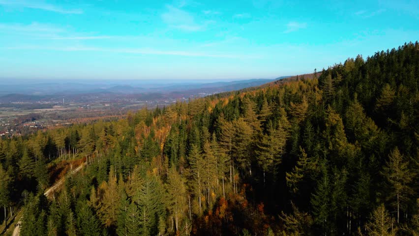 Aerial: Drone Downward Beautyful Shot Of Autumn Trees By Mountains In National Park - Aspen, Colorado