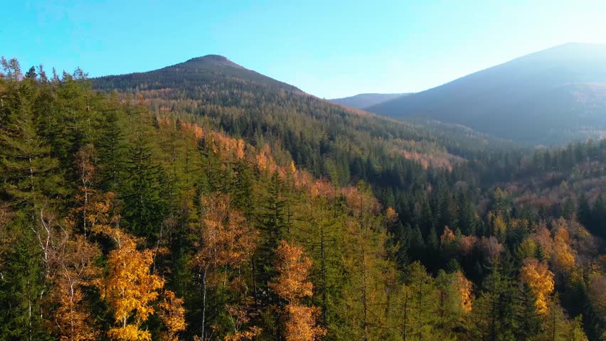 Aerial: Drone Downward Beautyful Shot Of Autumn Trees By Mountains In National Park - Aspen, Colorado