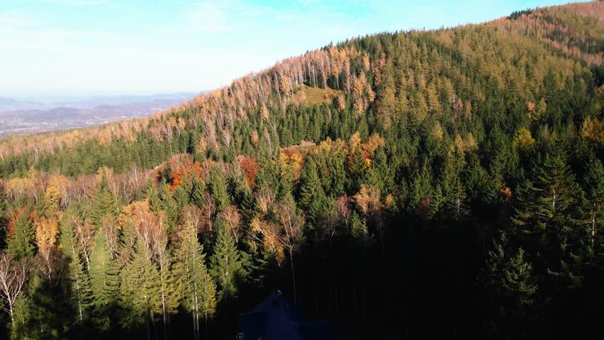 Aerial: Drone Downward Beautyful Shot Of Autumn Trees By Mountains In National Park - Aspen, Colorado