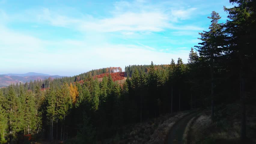 Aerial: Drone Downward Beautyful Shot Of Autumn Trees By Mountains In National Park - Aspen, Colorado