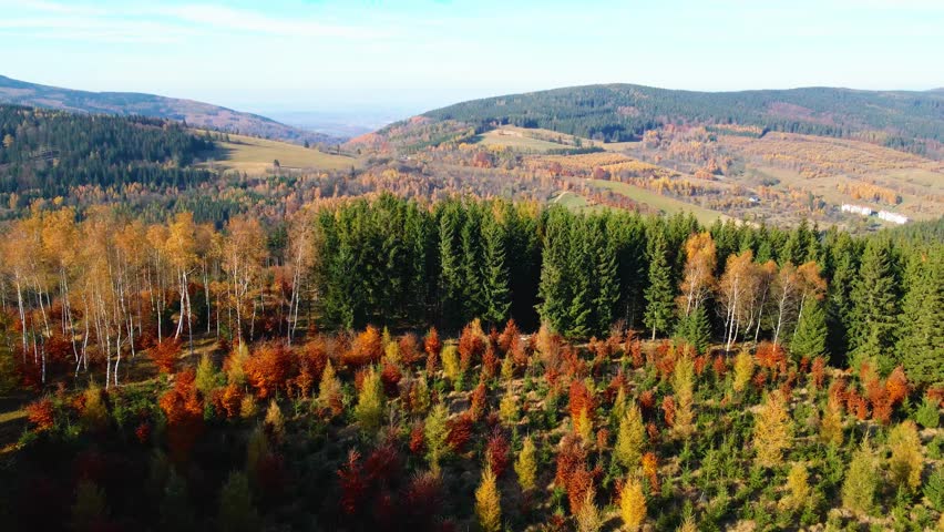 Aerial view, drone flying over trees in fall - Colorado Springs, Colorado
