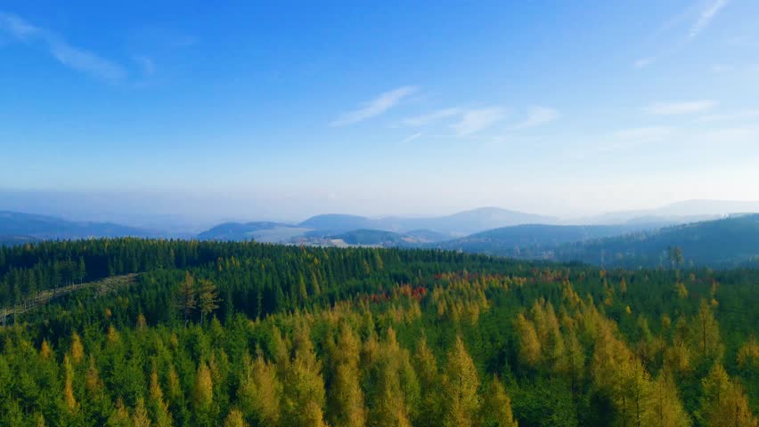 White Mountain National Forest and Pemigewasset River valley fall foliage on Kancamagus Highway at Lincoln Woods aerial view, Town of Lincoln, New Hampshire NH, USA.