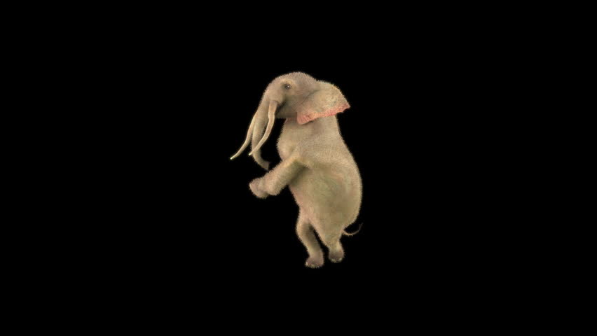 Elephant Dancing 3d rendering animal realistic, Animation 3D, Included in the end of the clip with Luma matte.