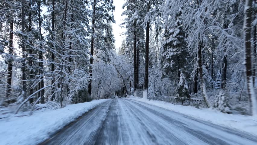 Driving through Yosemite Valley during a snowy winter in Yosemite National Park, California.