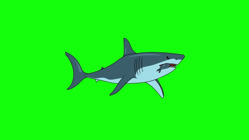 cartoon fish animation video. fish icon video.  
