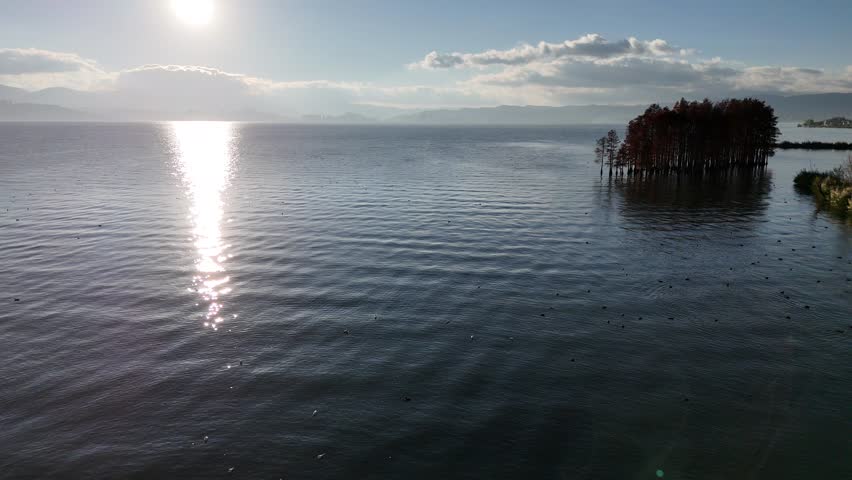 The view of Erhai Lake with red pine trees changing colors is a tourist attraction that tourists visit during their vacation in Dali Old Town, China.