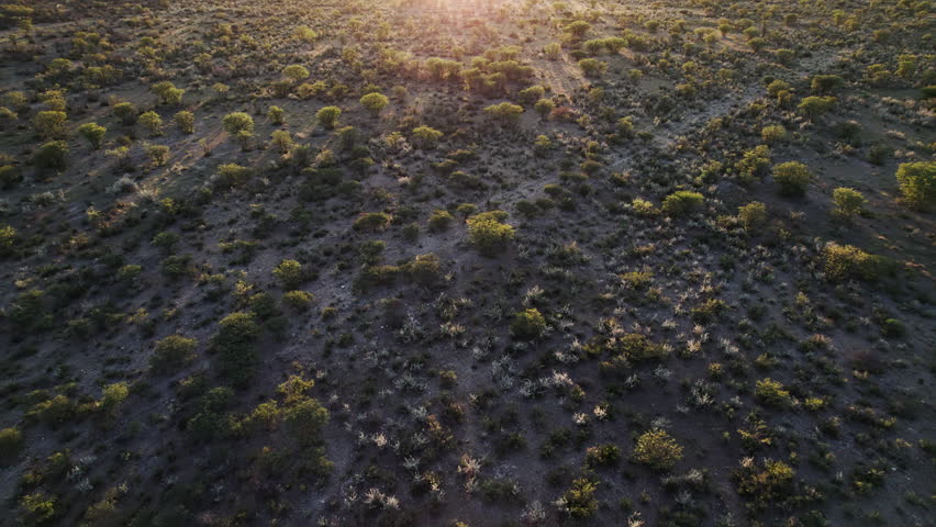 Top View of the Landscape