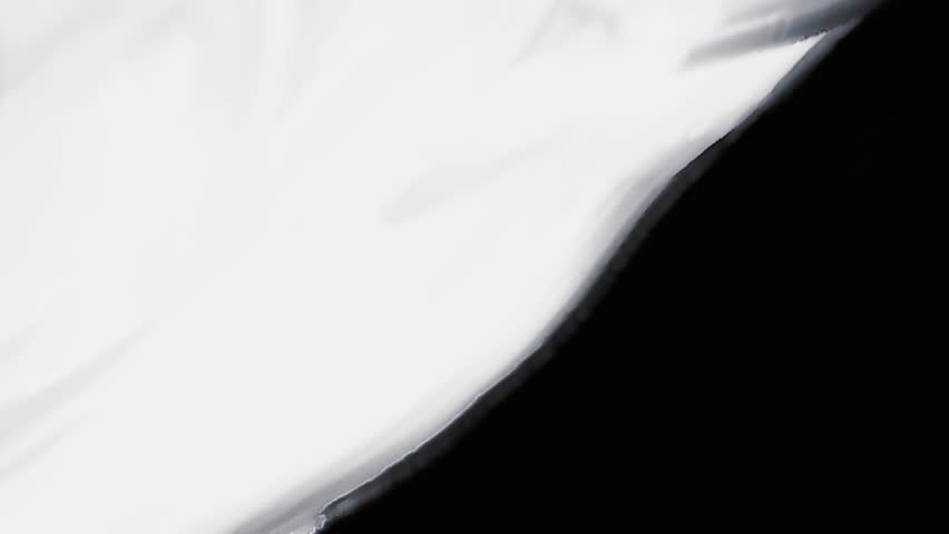 Shutterstock Video