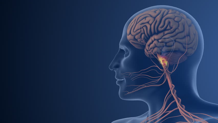 Nerve Dysfunction Causing Pain in Facial Region