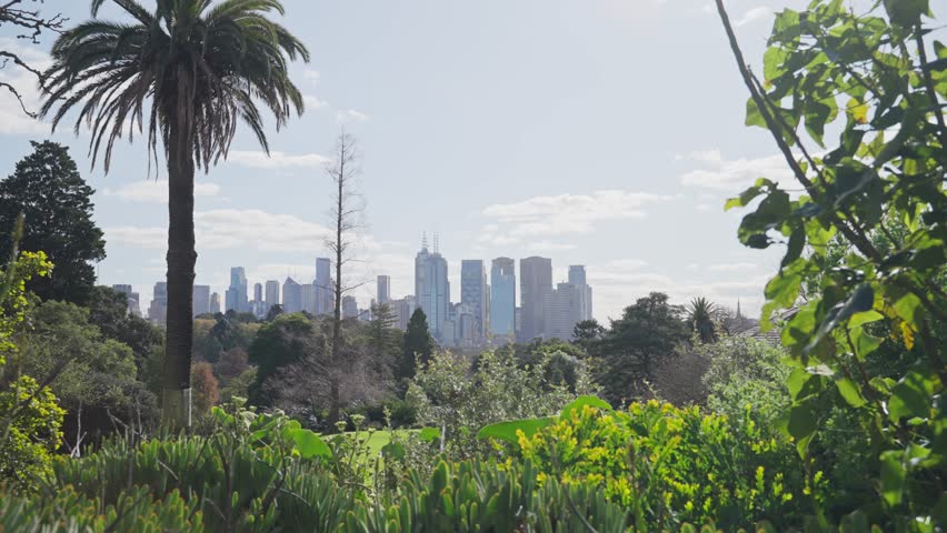 Melbourne city skyline seen from famous Royal Botanic Gardens Victoria. Green trees and plants decorate the grounds. Sunny day in beautiful Australian city and its various fun attractions