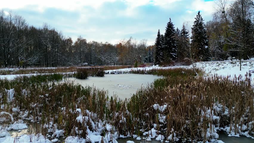 Recreational winter trip to small frozen pond in the park full of snow under the blue sky - 4k