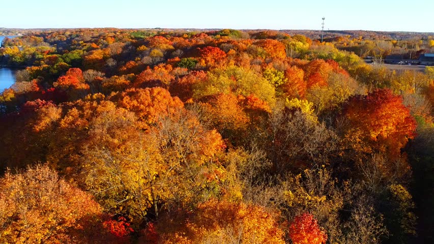Autumn landscape. Aerial view of the forest trees with the striking shades of autumn in Minnesota.