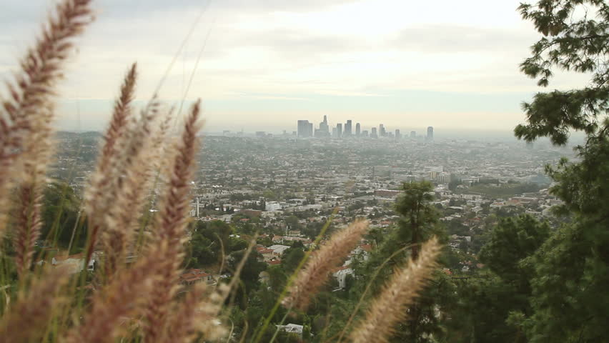 View of Los Angeles with downtown skyscrapers visible through the haze, grasses