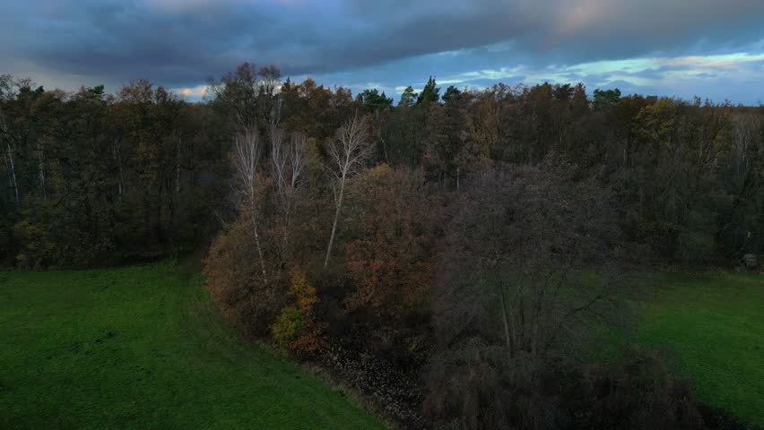 scenery of vast woodland in fall season, featuring vibrant foliage under a dramatic sky. Spectacular aerial view flight ascending drone