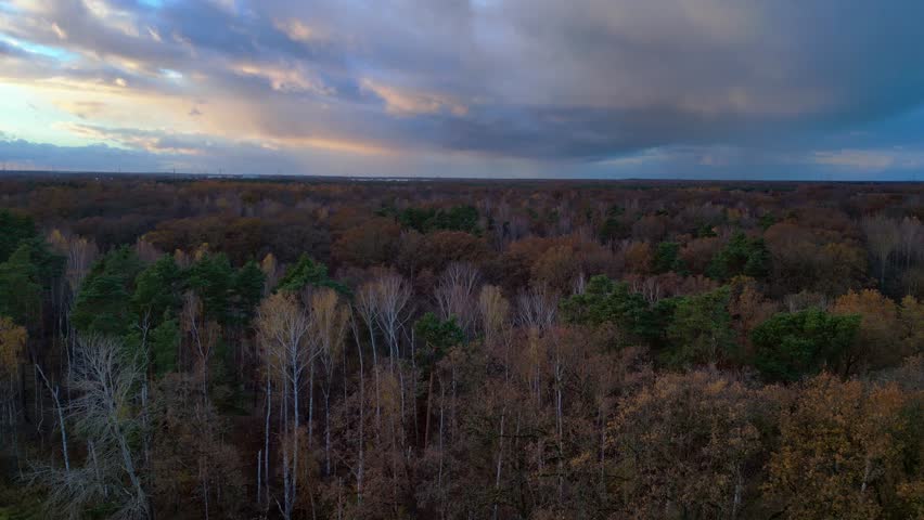scenery of vast woodland in fall season, featuring vibrant foliage under a dramatic sky. Amazing aerial view flight fly reverse drone