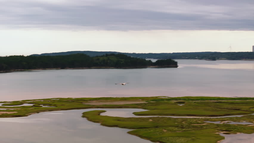 following a bird in flight over the wetlands into the forest in the Maritimes