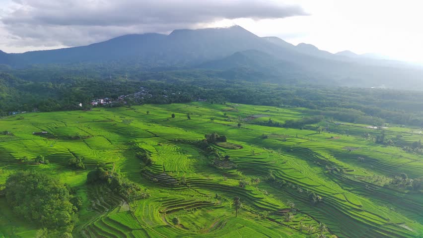 beautiful morning view indonesia panorama landscape paddy fields with beauty color and sky natural light