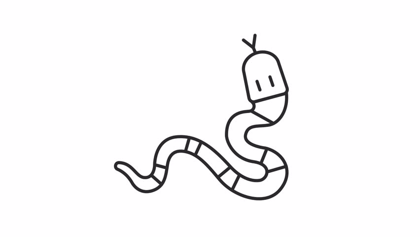 Animated snake icon. Serpent line animation. Moving tongue, tail. Viper, exotic. Wildlife animal, reptile. Black illustration on white background. HD video with alpha channel. Motion graphic