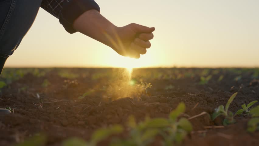 Farmer pouring dry soil in beautiful agricultural field in spring morning. Cinematic closeup shot of male hand and ground, beautiful sunset or sunrise above farmland, slow motion shot, gardening