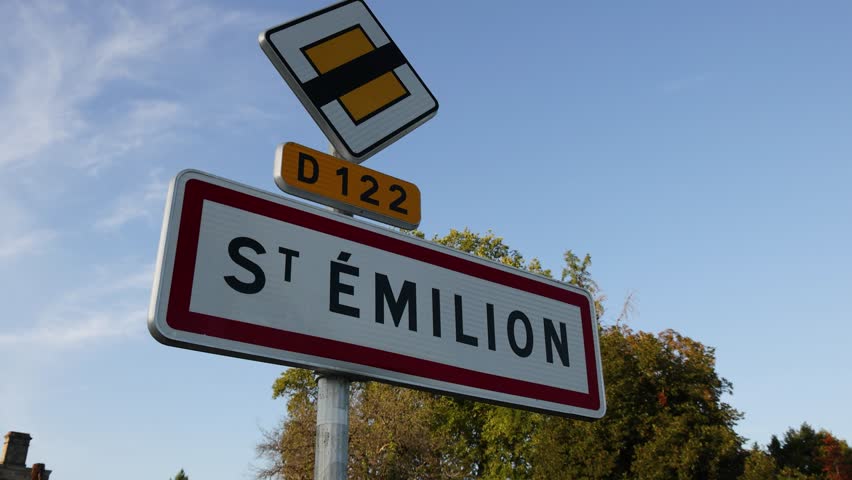 Panoramic view of lush vineyard landscape